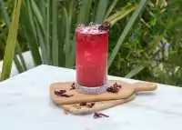 Herry Hibiscus